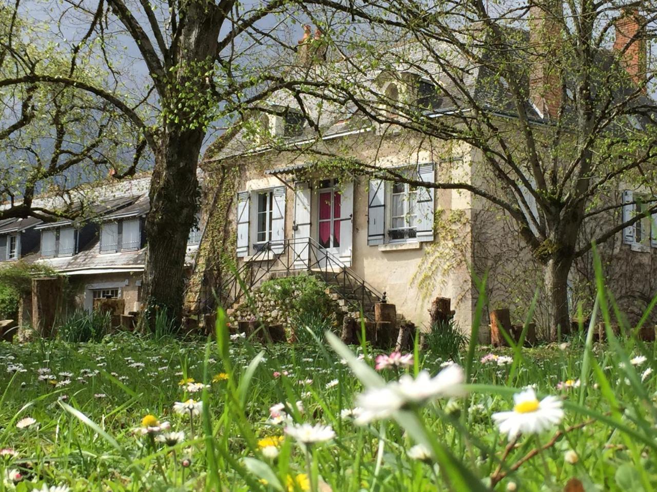 La Rossignolerie - La Familiale Vigneronne Bed & Breakfast Chouzy-sur-Cisse Luaran gambar